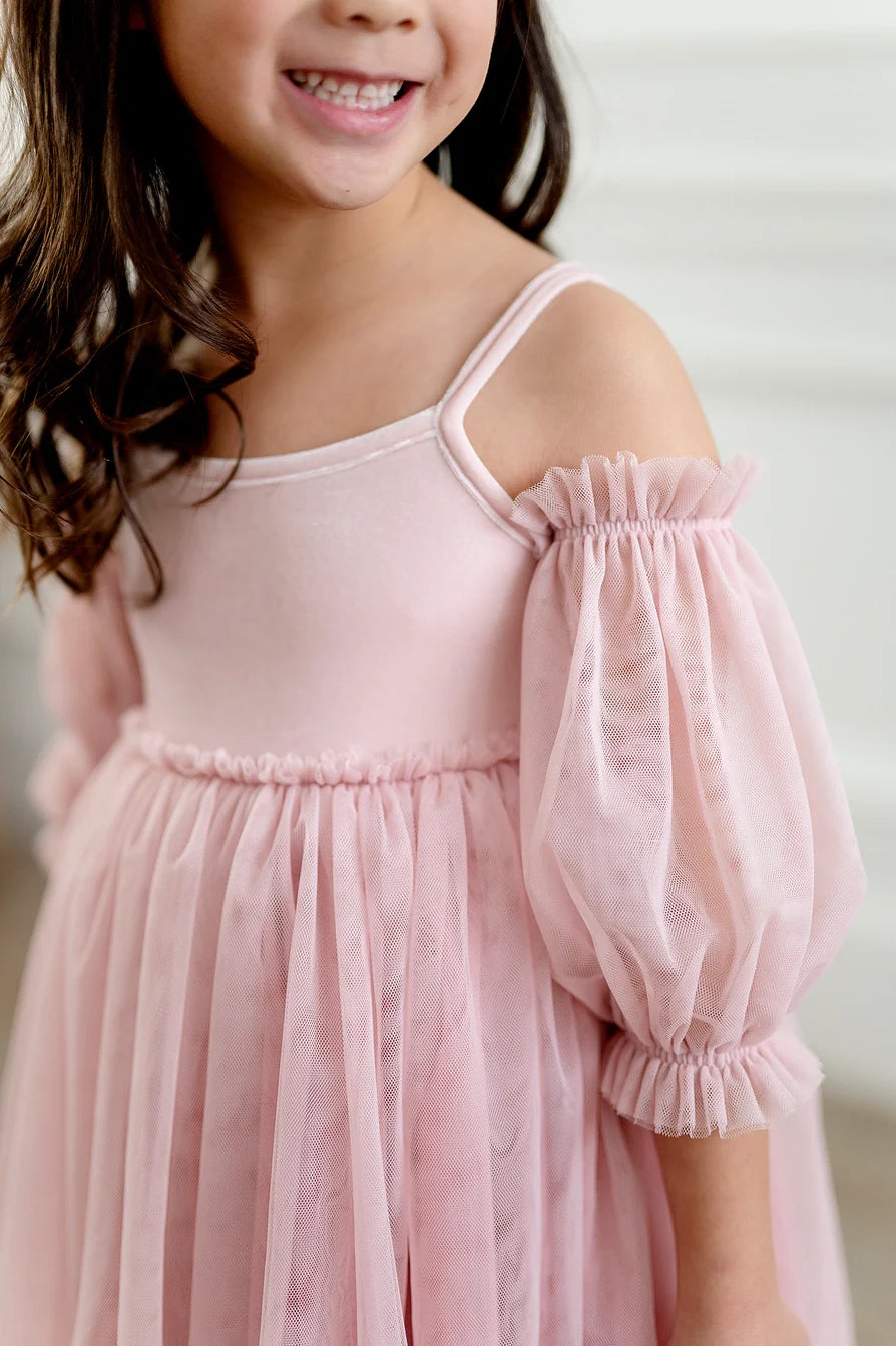 Everly Dress in Pink Rose Ombre