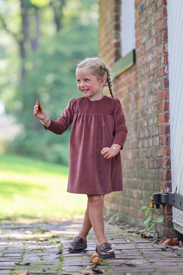 Royal Velvet Dress in Mauve