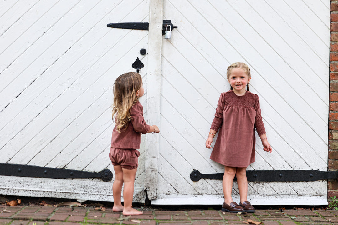 Royal Velvet Dress in Mauve