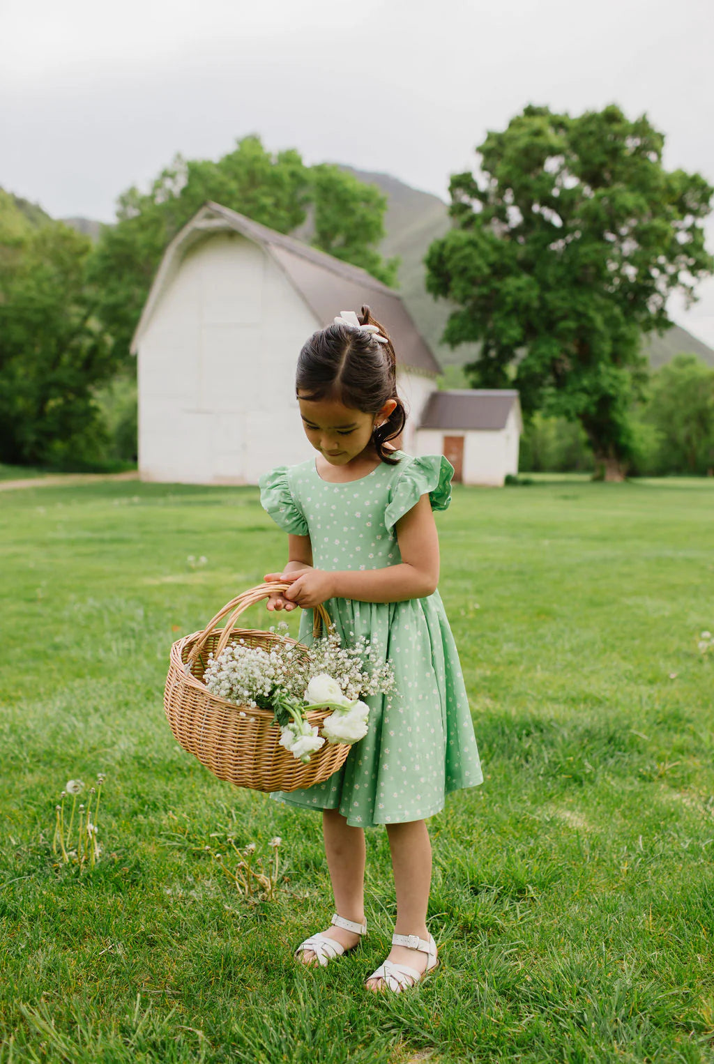 Olivia Dress in Green Daisy