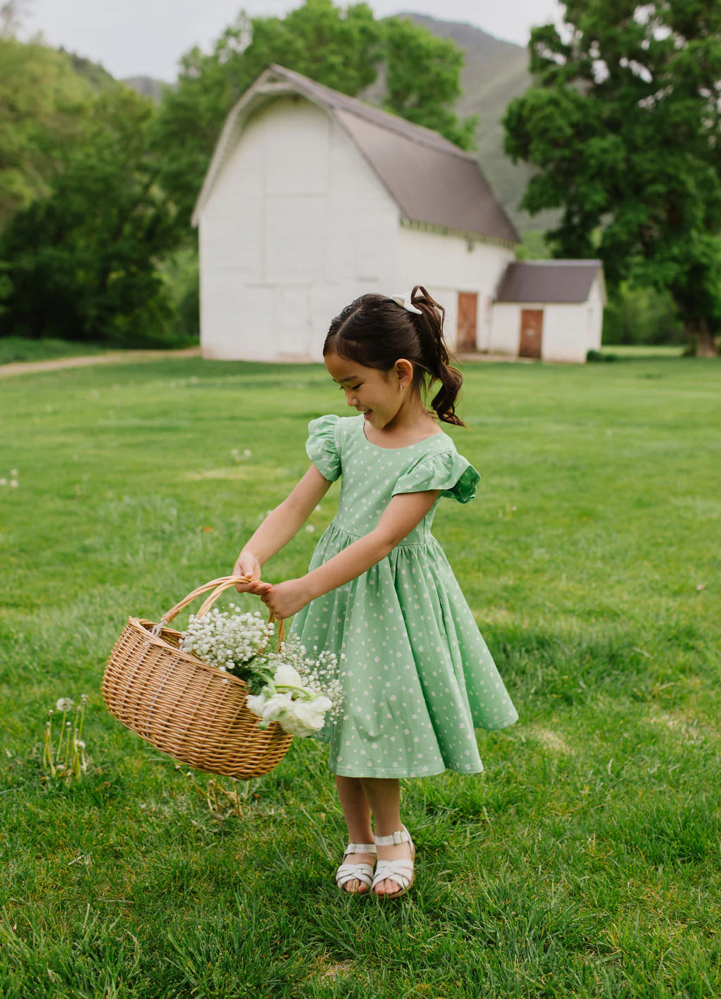 Olivia Dress in Green Daisy